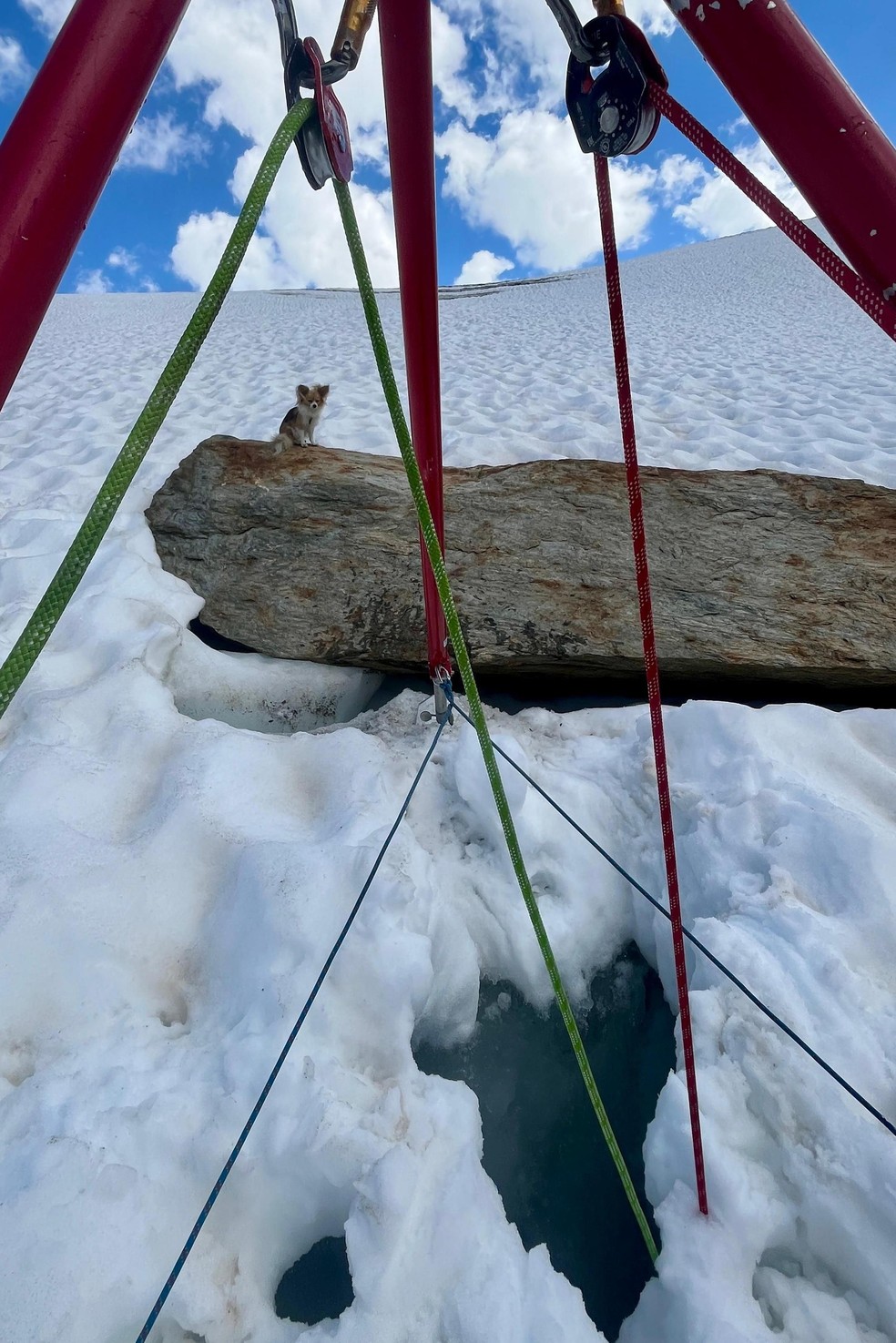 A estrutura construída pelos socorristas permitiu resgatar Jan com segurança — Foto: BBC News fonte