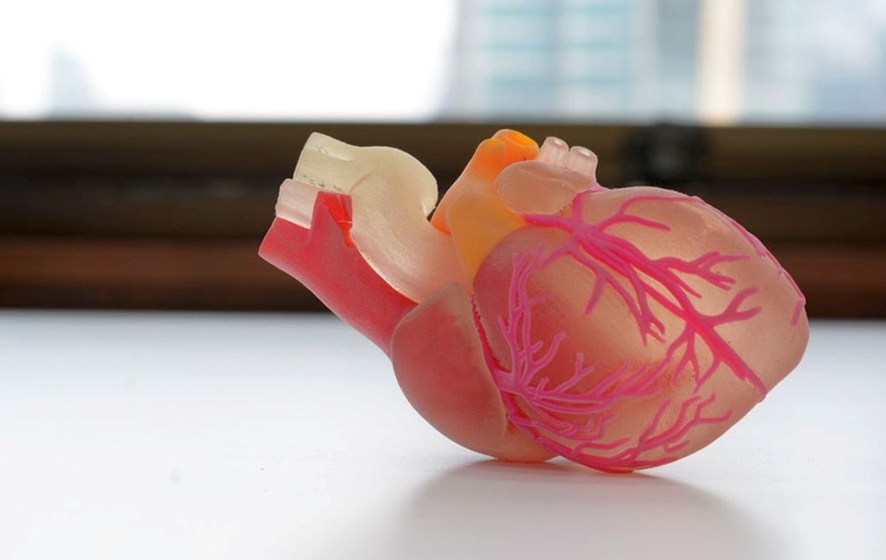 Impressão 3D de órgãos — Foto: Reprodução/Facebook