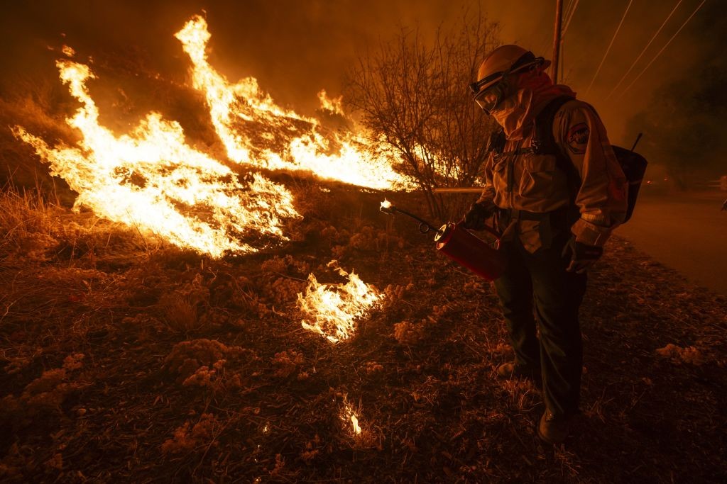 Pessoas estão apostando em incêndios florestais – e especialistas temem incentivo a crimes