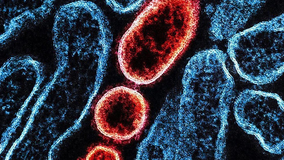 sem descrição — Foto: BBC News fonte