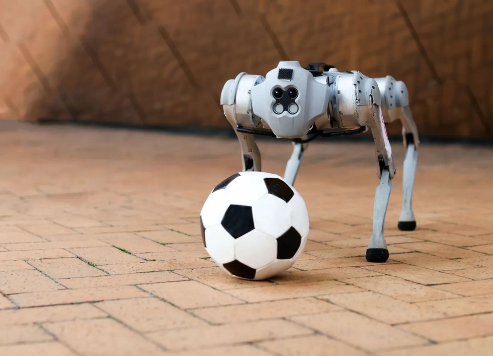 Cão-robô  do MIT é capaz de jogar bola em diferentes terrenos  — Foto: Reprodução/MIT 