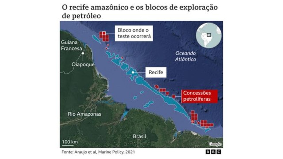 O recife de corais raro na boca do rio Amazonas sob ameaça da extração ...