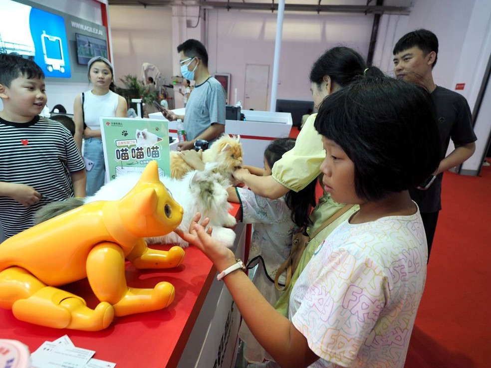 Gatos peludos ou não atraem crianças chinesas que adoram pets — Foto: Du Jianpo/VCG via Getty Images