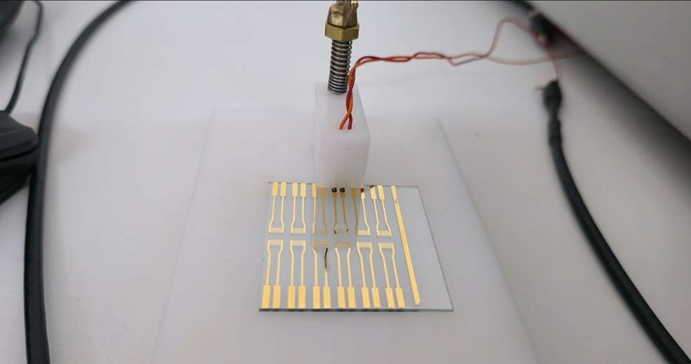 Protótipo da língua eletrônica — Foto: Divulgação