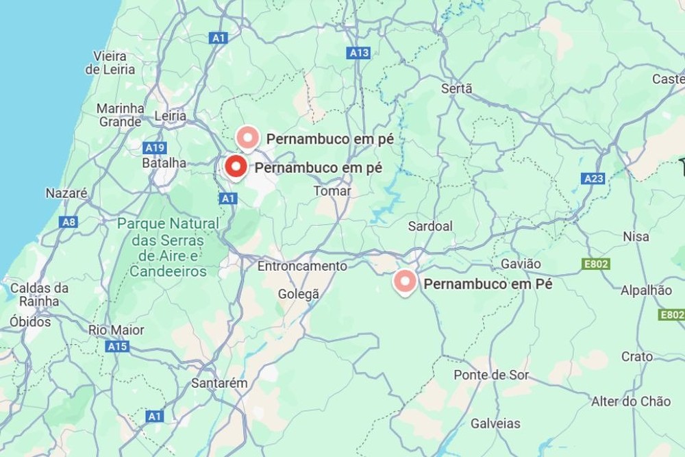 Brasileiros criam 'Pernambuco em pé' no Google Maps em trend sobre ...