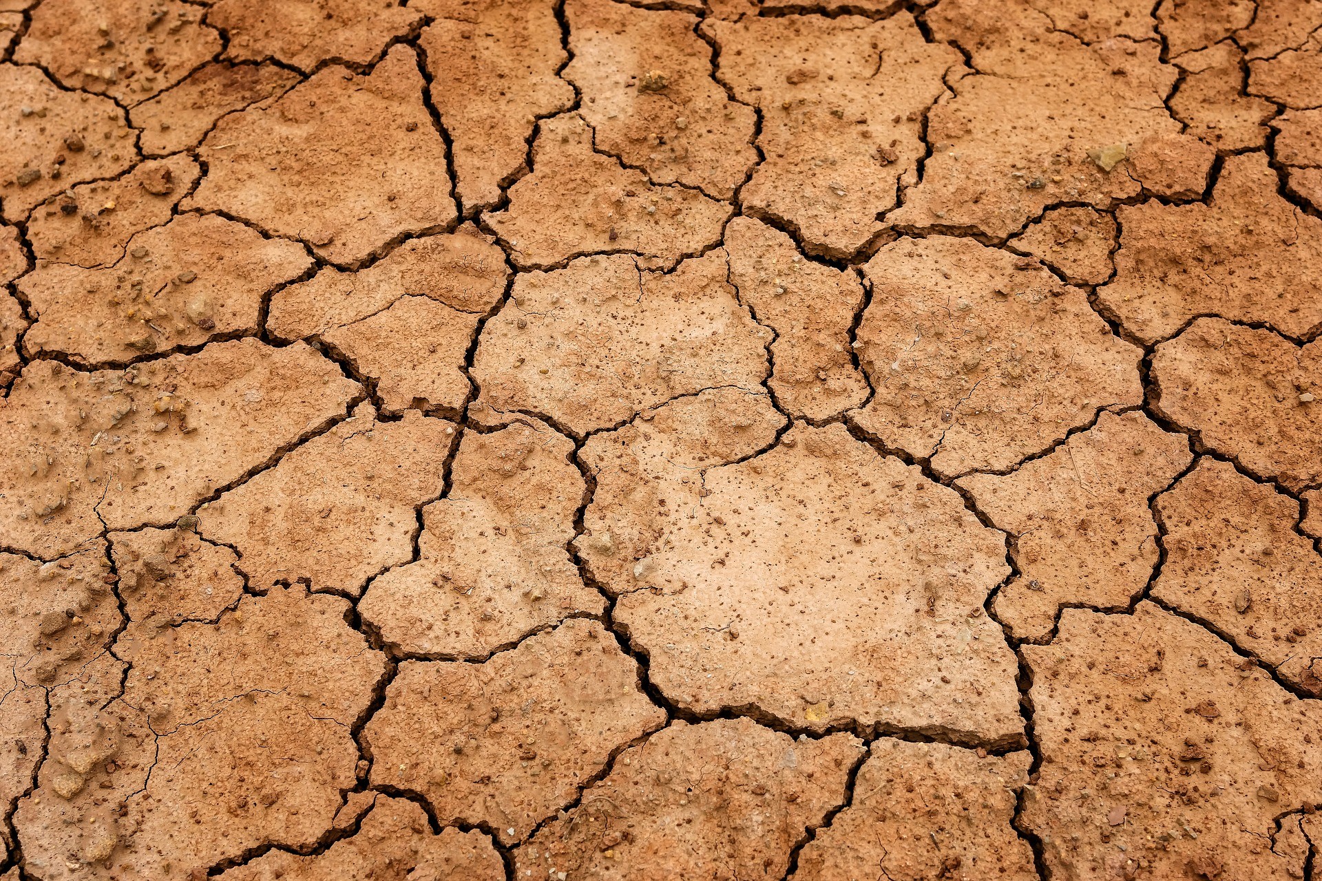 UE demonstra preocupação com impacto da seca na Itália