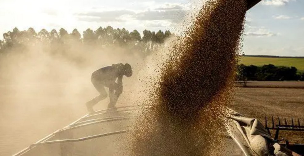Produção de soja cresceu a um ritmo mais rápido do que o processamento na última década — Foto: BBC News fonte