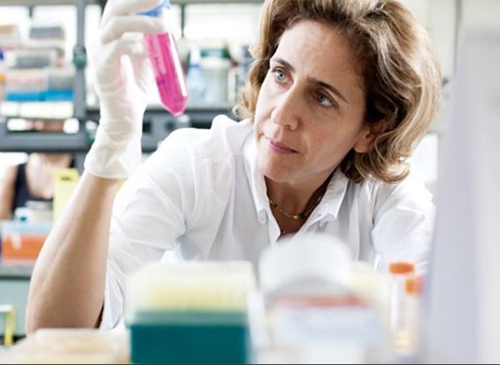 Lygia da Veiga Pereira é uma das mais renomadas geneticistas do mundo — Foto: Divulgação