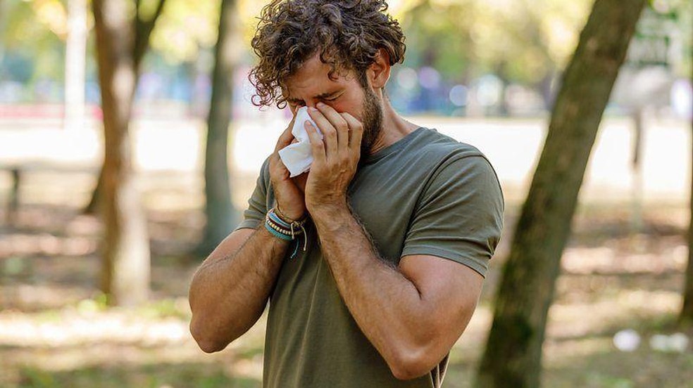 O plantio de espécies de árvores que produzem menos pólen indutor de alergias no ar é uma forma que as cidades têm de ajudar as pessoas que sofrem da febre do feno — Foto: BBC News fonte