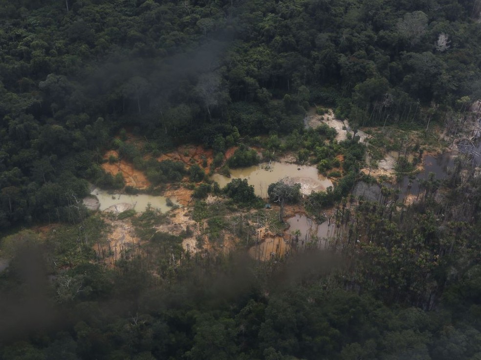  Áreas de garimpo ilegal na Terra Indígena Yanomami vistas em sobrevoo ao longo do rio Mucajaí — Foto: Agência Brasil