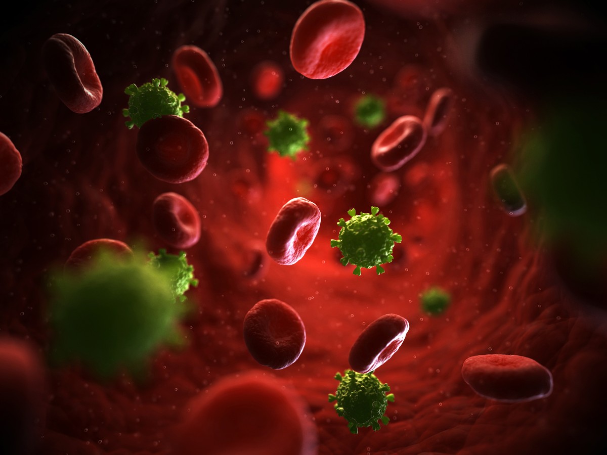 VIH: los científicos anuncian que el séptimo paciente se curó de la infección;  entender |  Ciencia y Salud