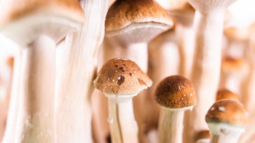 Ravi Das defende que, quando ficar comprovado que as terapias psicodélicas são seguras e eficazes, elas sejam disponibilizadas pelo serviço de saúde pública do Reino Unido — Foto: BBC News fonte