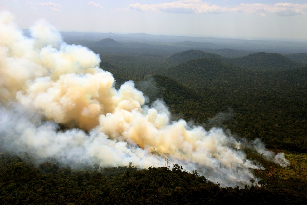 Incêndios florestais aumentam na Amazônia após novo Código Florestal — Foto: Getty Images