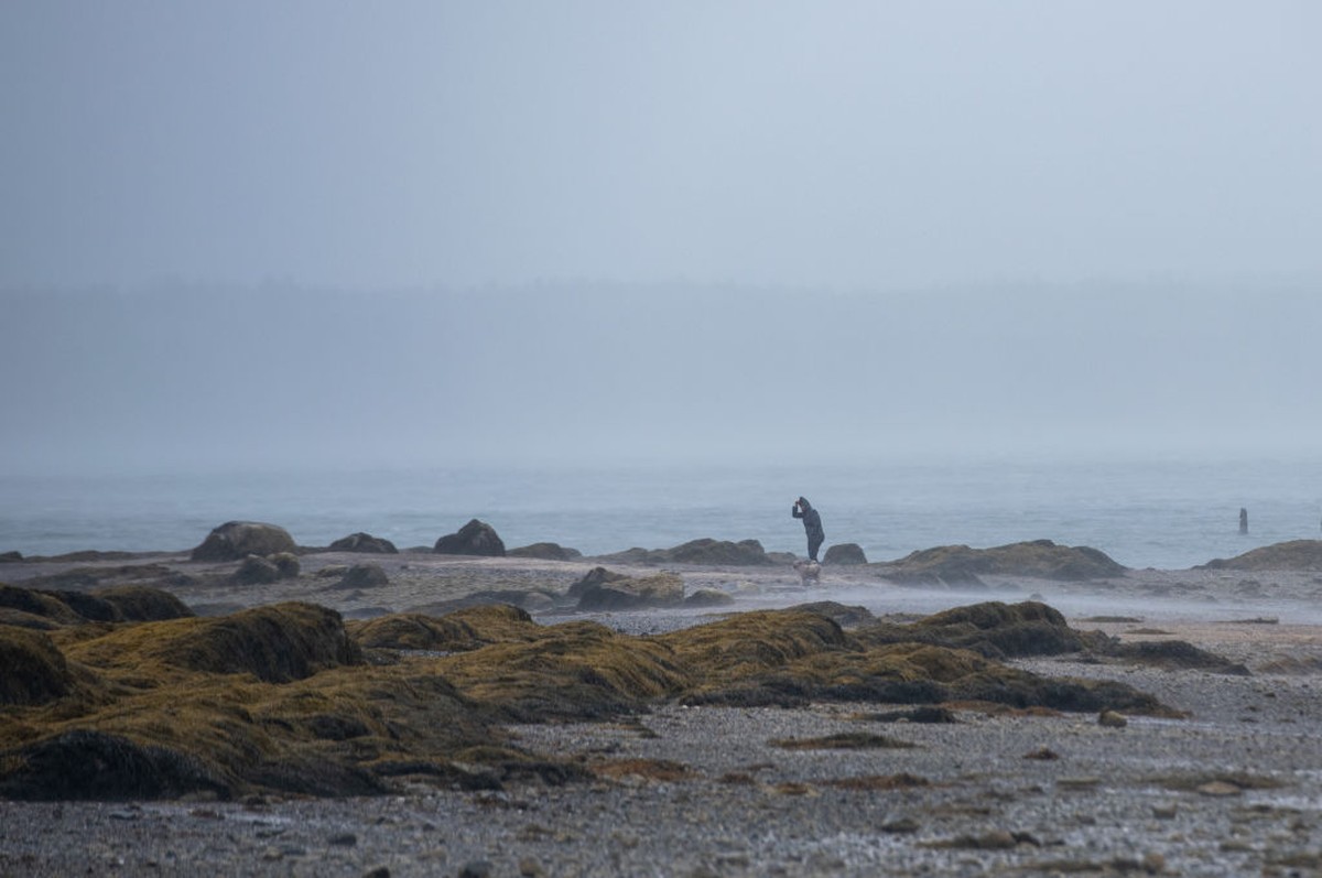 100 mil ficam sem energia elétrica no Canadá por causa de ciclone pós-tropical Lee | Mundo