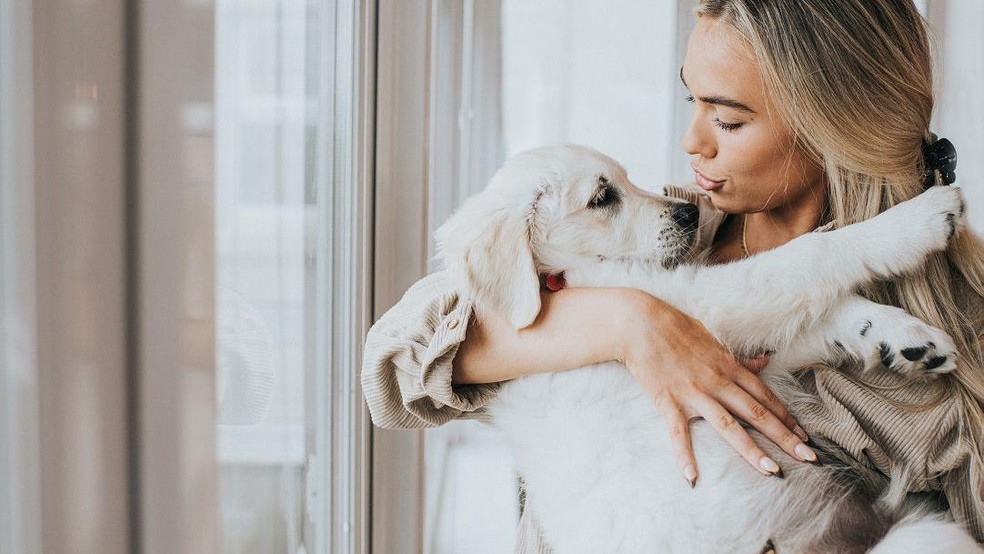 Onde você pode estar exagerando e o que pode estar faltando para o bem-estar do seu cão? — Foto: BBC News fonte