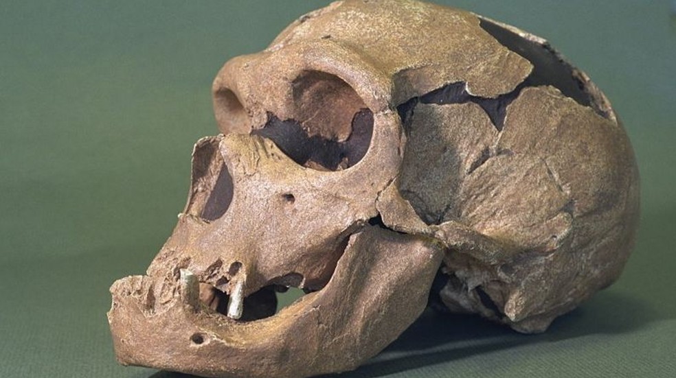 Os neandertais coexistiram com os seres humanos com anatomia moderna — Foto: Getty Images via BBC