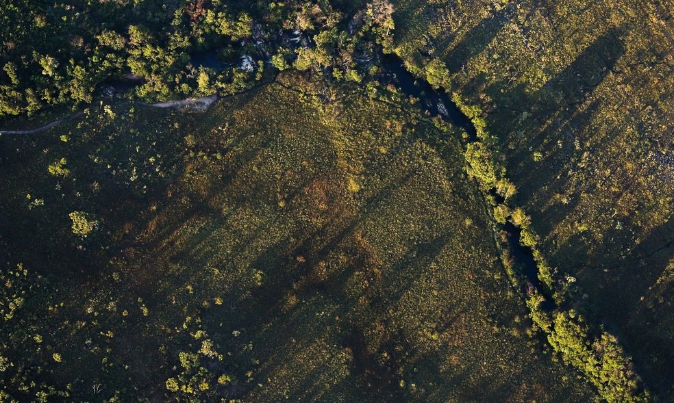 Considerado o berço das águas do Brasil, o Cerrado é a origem das nascentes de oito das 12 bacias hidrográficas mais importantes do país — Foto: Marcelo Camargo - Agência Brasil