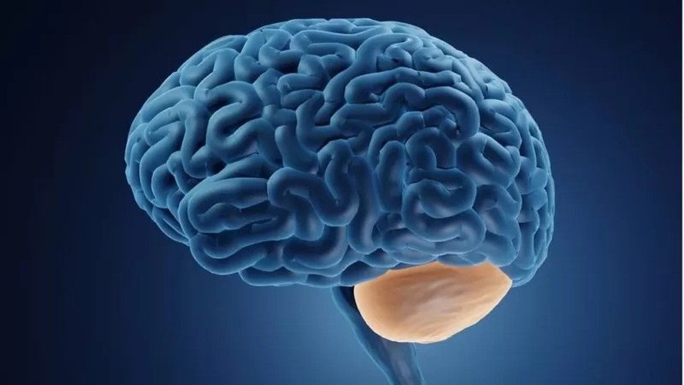 A ataxia é uma condição que afeta o cerebelo — Foto: Getty Images via BBC News