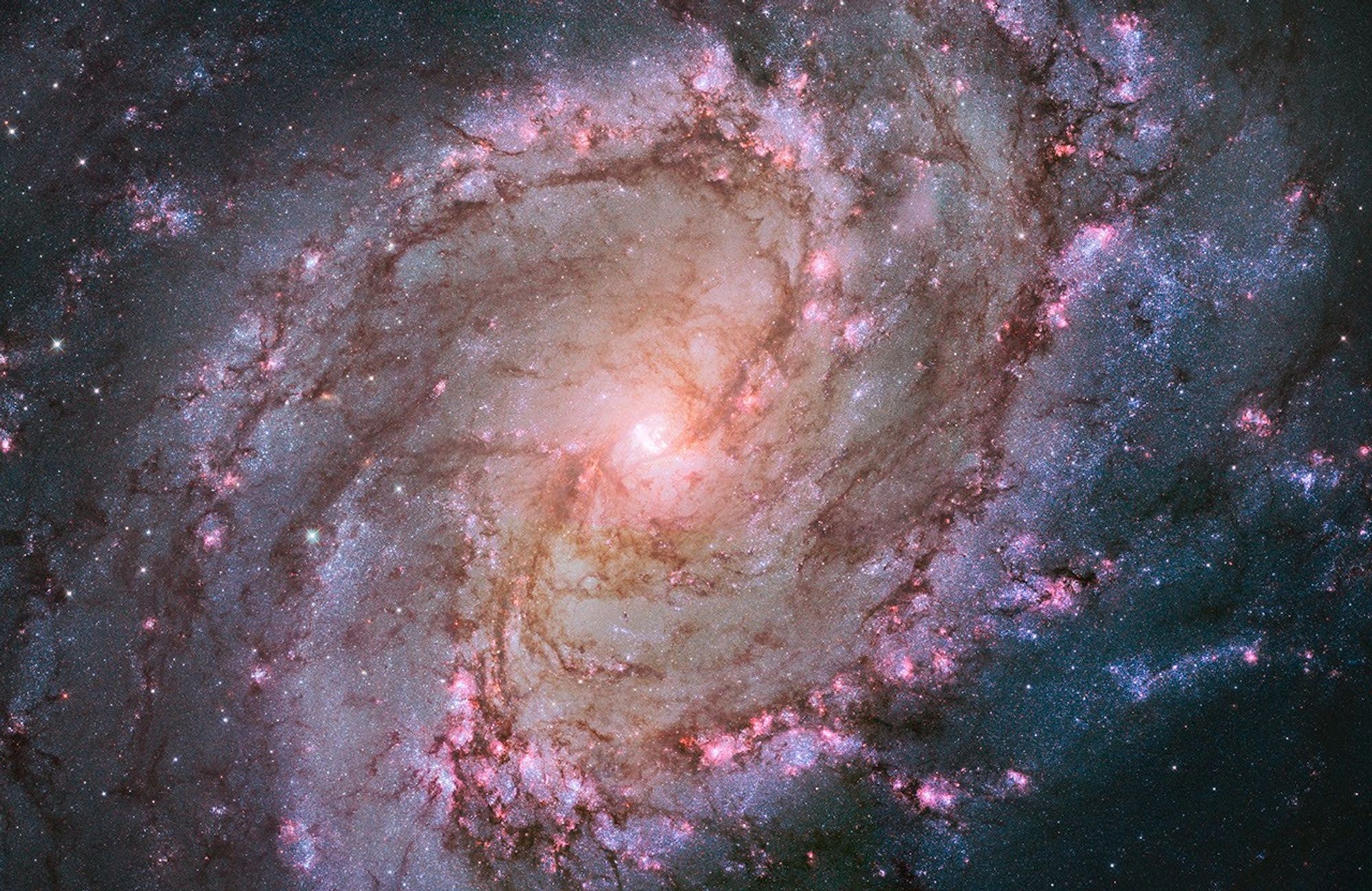 Descubra a imagem que a NASA registrou no seu aniversário