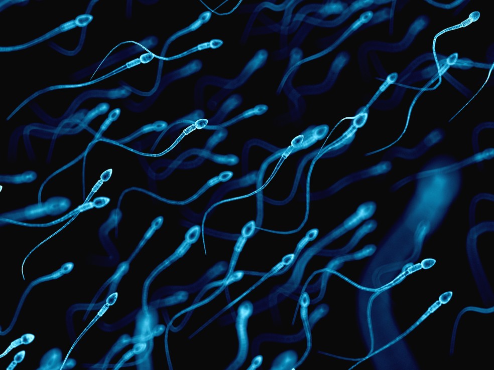Homens ainda resistem à ideia de assumir o controle da fertilidade — Foto: Sebastian Kaulitsky/Science Photo Library