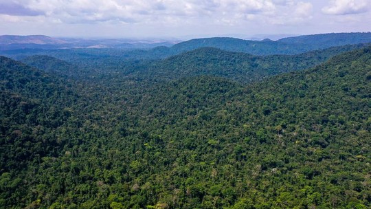 Ecologistas lutam contra desmatamento e pobreza na Amazônia