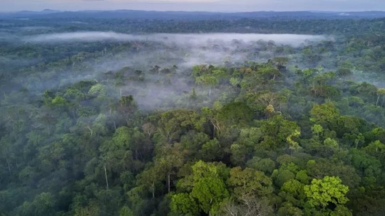 BID e BB acertam financiamento de US$250 mi voltado à bioeconomia na Amazônia Legal