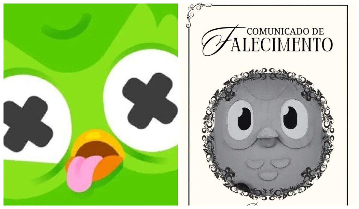 Duolingo anuncia morte de mascote em ação de marketing nas redes sociais; confira reações