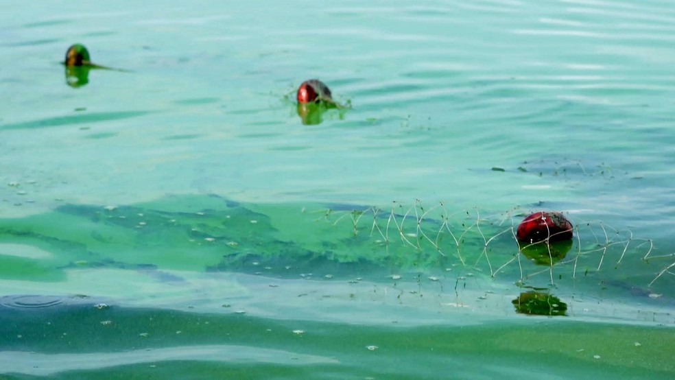 Manchas de óleo podem ser vistas na água do Lago de Maracaibo — Foto: BBC News fonte