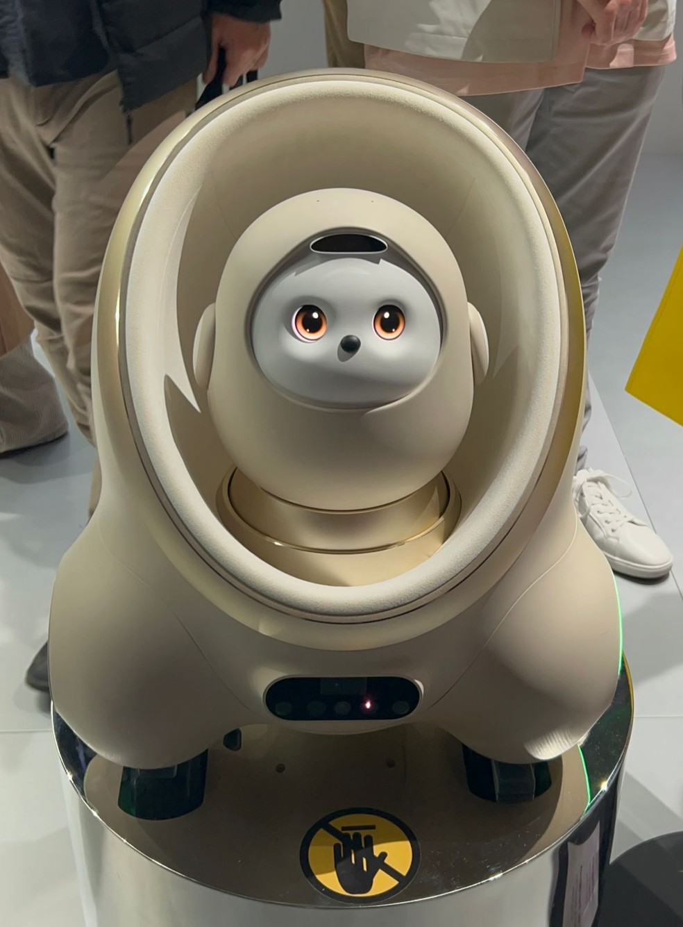 CES 2025: Robô companheiro usa ChatGPT para conversar e pode registrar ...