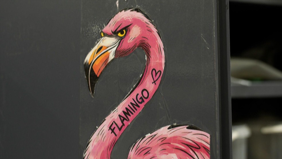 O nome Flamingo é uma referência aos primeiros protótipos dos mísseis, que eram pintados de rosa. — Foto: BBC News fonte