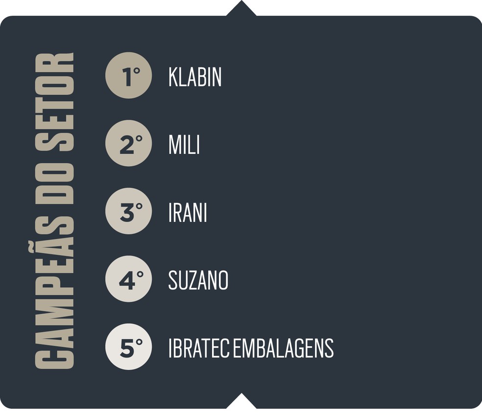 360° 2025 - Papel e celulose — Foto: 360° 2025