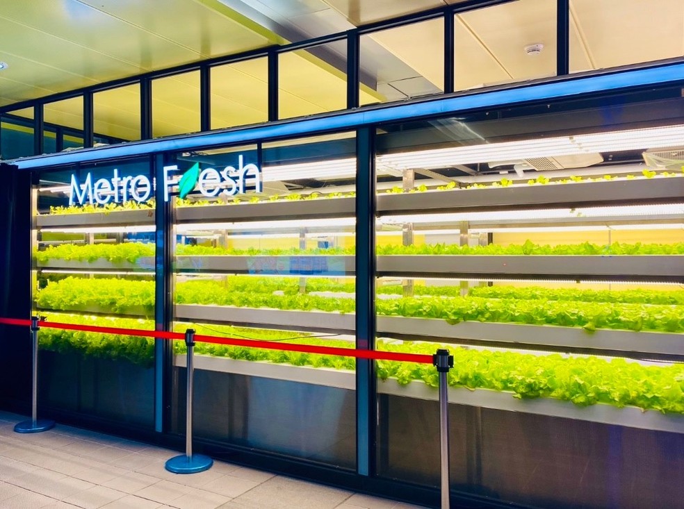 Metro Fresh, sistema de fazenda vertical adotada em Taiwan — Foto: Divulgação/Taipei City Government