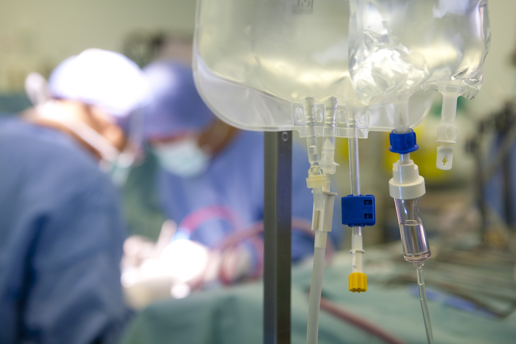 Rim de porco transplantado mantém paciente humano sem diálise por recorde de 285 dias - Foto