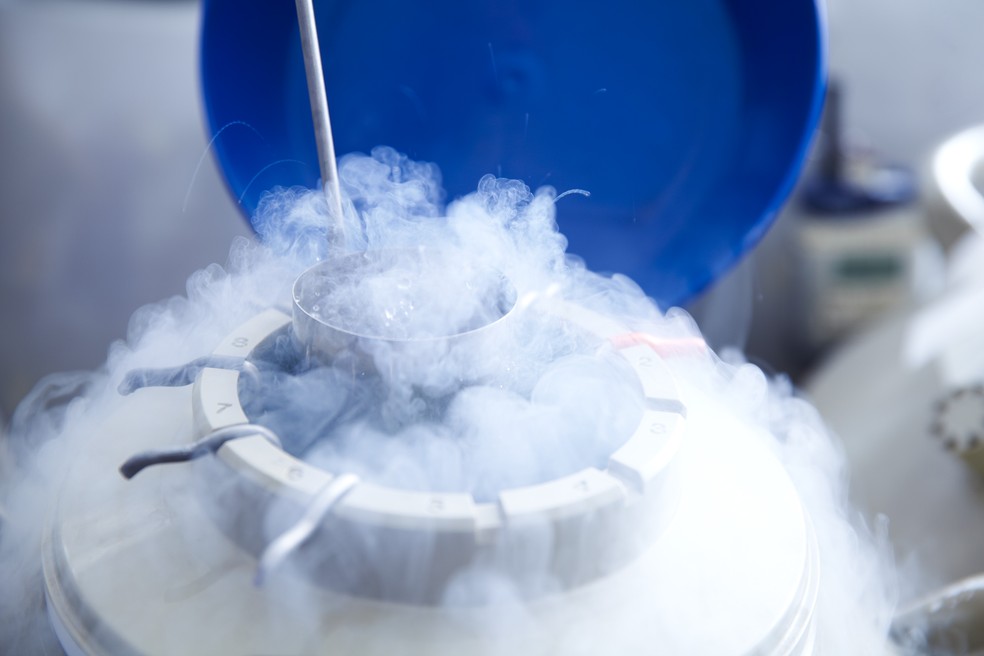 Tanque para congelamento de óvulos — Foto: Getty Images
