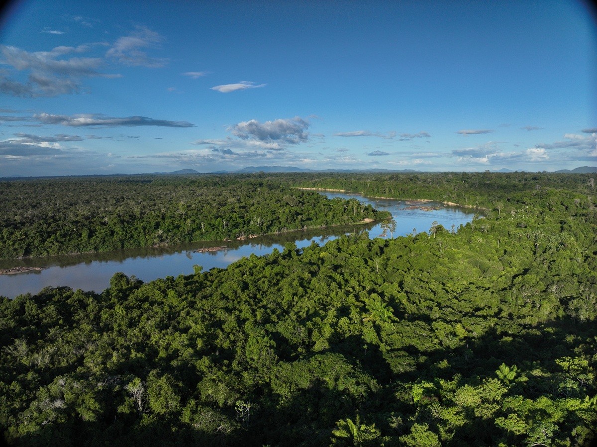 No coração da Amazônia, ZEG usa IA para detectar incêndios e gerar renda com a floresta em pé - QTU Questões do Universo