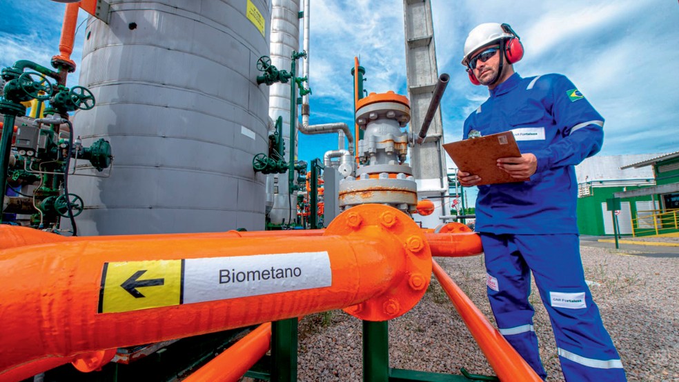  — Foto: Divulgação