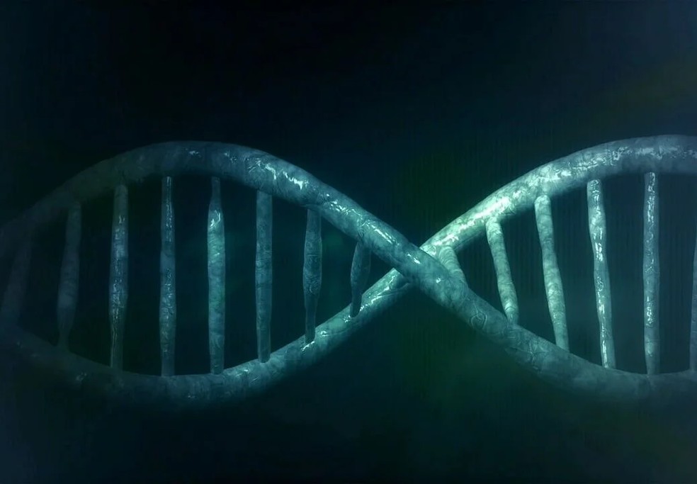 DNA — Foto: Pixabay