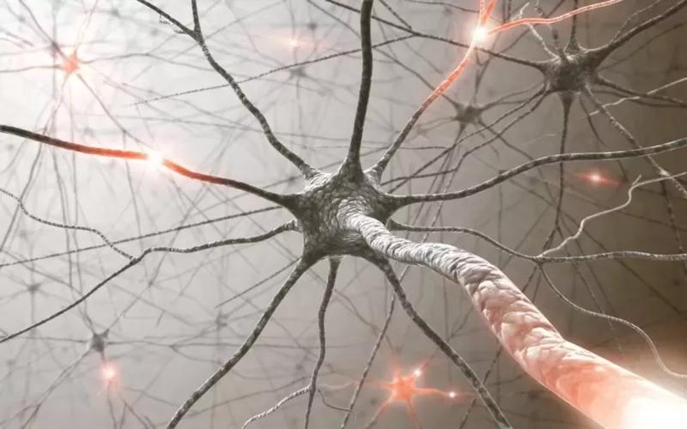 Células cerebrais são capazes de usar feedback para aprender a se adaptar (Foto: Getty Images ) — Foto: Epoca Negocios
