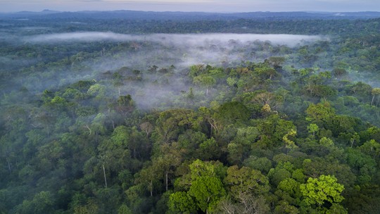 Desmatamento cai 10% na Amazônia em maio, mas dispara 83% no Cerrado