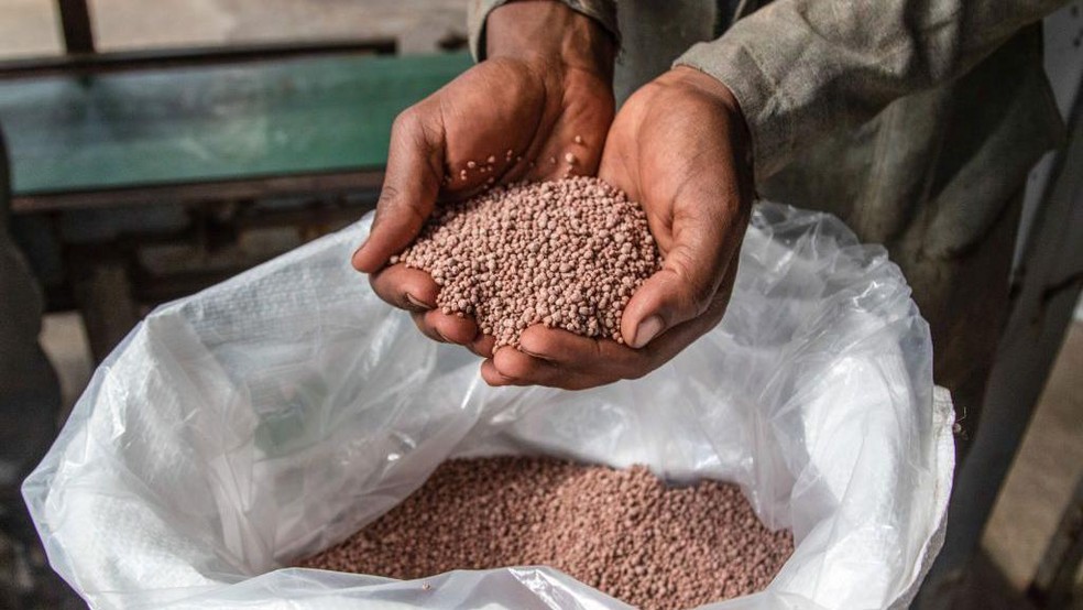 Os fertilizantes nitrogenados são utilizados em culturas que produzem cerca de metade dos alimentos disponíveis no mundo — Foto: BBC News fonte