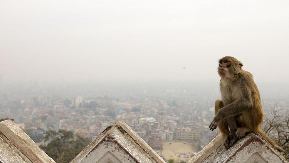 Partículas no ar causadas pela poluição podem fazer o céu parecer branco — Foto: BBC News fonte