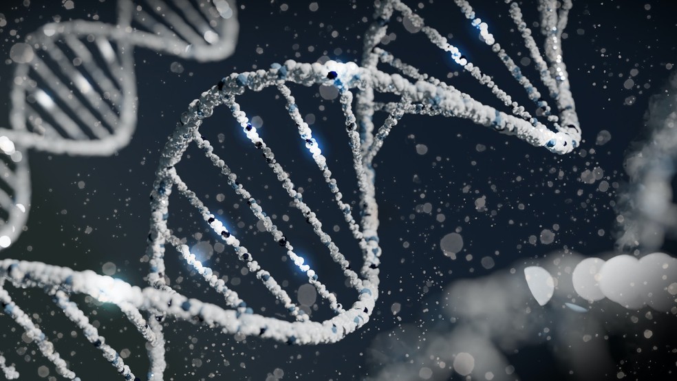 Genômica é o estudo do genoma, o conjunto completo de DNA contido em uma única célula — Foto: Sangharsh Lohakare na Unsplash