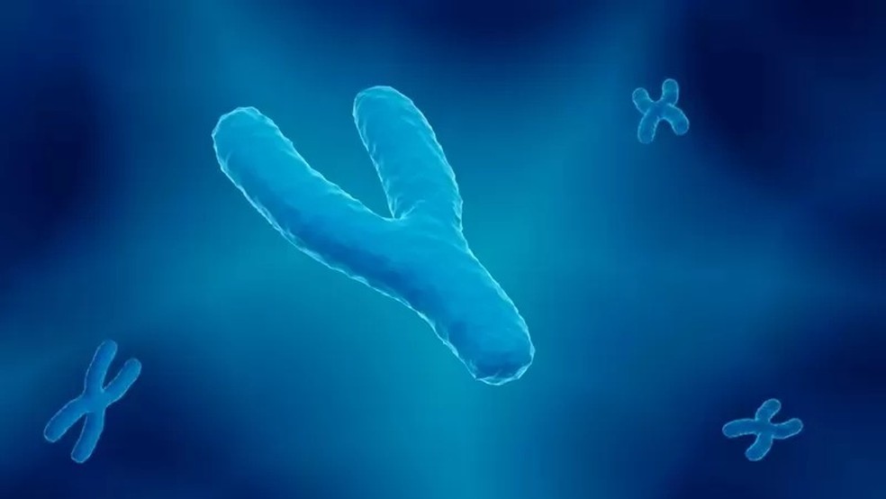 O cromossomo Y determina o sexo masculino. Seu par, o X – que aparece duas vezes em mulheres – foi sequenciado em 2005 — Foto: Getty Images via BBC News
