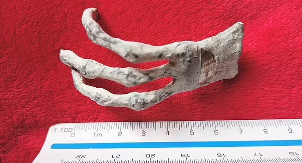 Dissecação de 'múmia alienígena' no Peru revela curioso implante