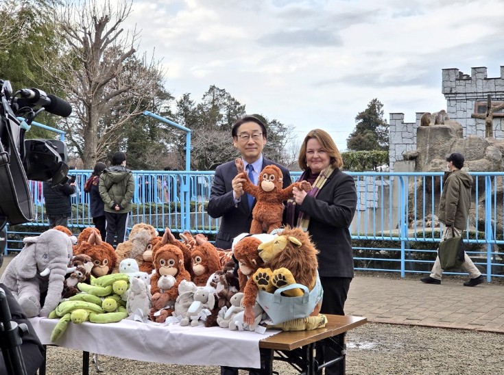 Loja doa pelúcias a zoológico japonês após filhote de macaco abandonado viralizar agarrado a brinquedo