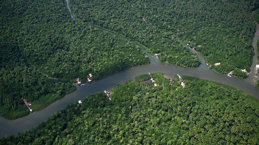 sem descrição — Foto: BBC News fonte