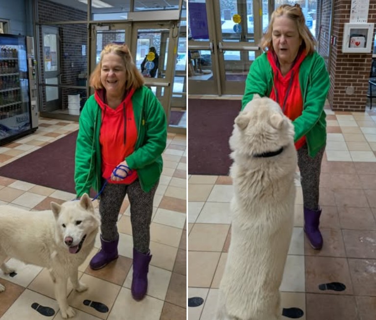 Depois de um ano de espera, chip do tamanho de um grão de arroz devolve cachorro perdido à dona nos EUA; cão estava a 80 km de casa