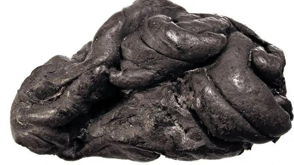 BBC News fonte — Foto: Seis mil anos atrás, Lola mastigou este pedaço de alcatrão de bétula. Por isso, agora sabemos um pouco mais sobre ela