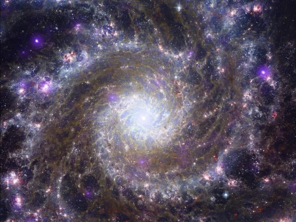 Messier 74 (M74) é uma galáxia espiral; está a 32 milhões de anos-luz da Terra — Foto: NASA