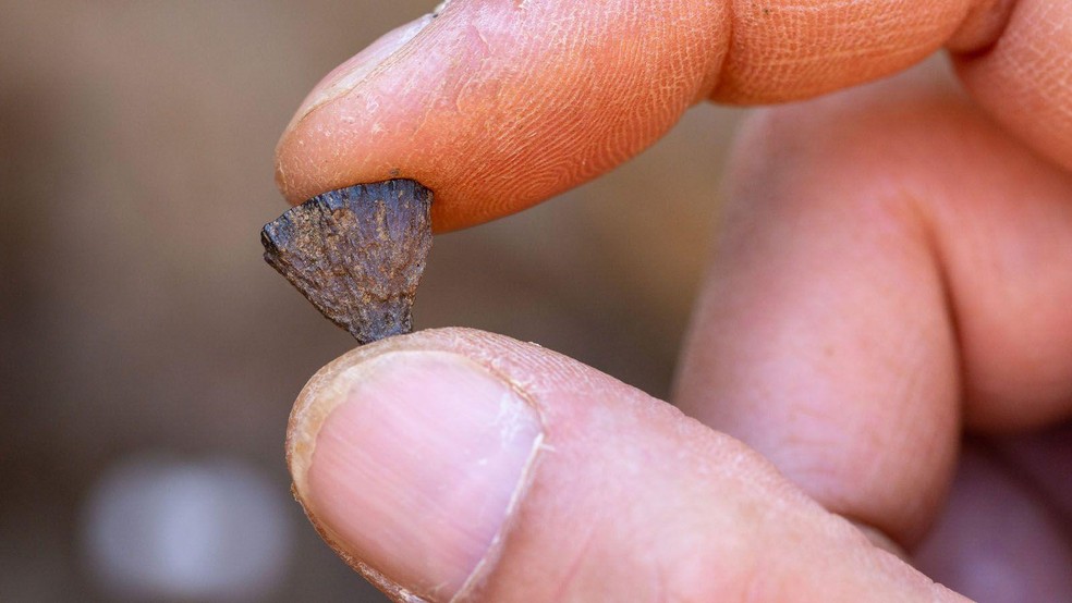 Pedaço de pirita encontrado no sítio arqueológico — Foto: BBC News fonte